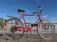 1975 chicago schwinn for sale  Payson