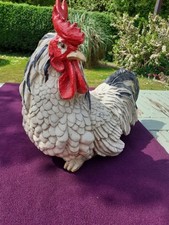 Large cockerel chicken for sale  SALISBURY
