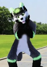 Furry fursuit maskottchen gebraucht kaufen  Pleinfeld