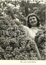 1954 milano giardini usato  Milano
