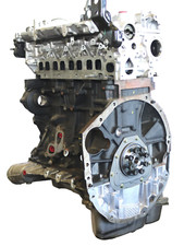 Nissan navara 3dci gebraucht kaufen  Wallenhorst