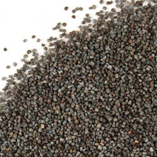 Poppy whole seeds for sale  South Ozone Park