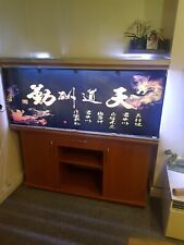 Aquarium rena for sale  LEICESTER