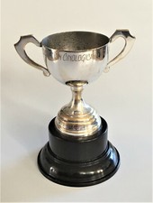 Silver plated uruguayan for sale  NORWICH