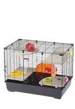 Hamster small animal for sale  LONDON