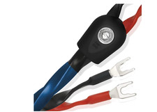 wireworld usato  Formia