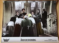 Horst buchholz auferstehung gebraucht kaufen  Hüffenhardt