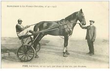 Hippisme. 35956.fixe.bai brun. d'occasion  France