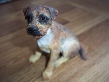 border terrier puppies for sale  SHREWSBURY