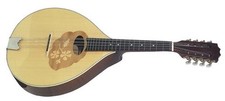 Mandolino mandola pro usato  Italia