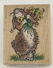 Night media bunny for sale  Eugene