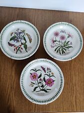 Piatti decorativi ceramica usato  Cuneo