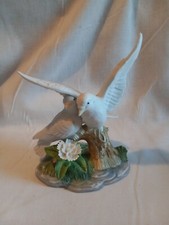 Pair white doves for sale  Carroll