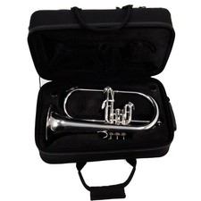 Eastman model efg512gs for sale  Redmond