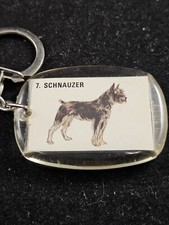 Keyring canigou ron d'occasion  Expédié en Belgium