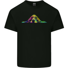 Colourful basset hound for sale  COVENTRY