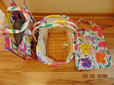 Set faltkorb kühltasche gebraucht kaufen  Bautzen