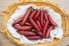 Pink ice caviar for sale  Brooklyn