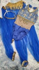Dansco arabian costume for sale  Hanson