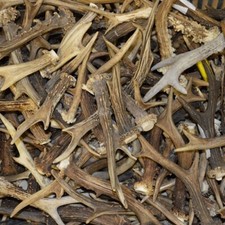 1kg mix rehgeweih gebraucht kaufen  Versand nach Germany