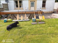 16ft canadian cedar for sale  NEWTON STEWART