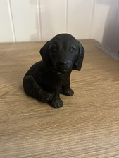 Black labrador retriever for sale  WIRRAL