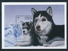 [32669] Antigua y Barbuda 1997 Mascotas Perros Husky Siberiano Hoja de Recuerdo MNH segunda mano  Embacar hacia Mexico