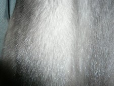 Real mink fur for sale  WARMINSTER