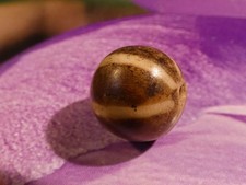 Antique pumtek bead for sale  Los Altos
