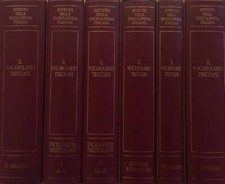 Vocabolario treccani. aa.vv.. usato  Italia