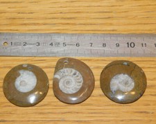 Lot pendentif coquillage d'occasion  Saint-Louis