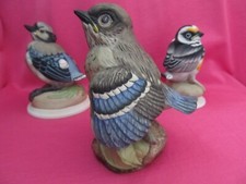 Boehm baby fledglings for sale  Pinehurst