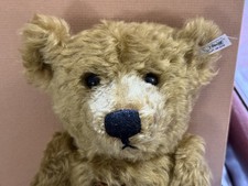 steiff 1907 for sale steiff 1907 for sale DORCHESTER