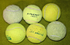 Tennisbälle hundespielzeug ge gebraucht kaufen  Burgwedel
