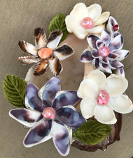 Vintage sea shell for sale  Austin