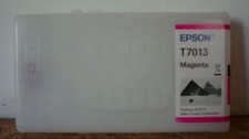 Epson t7013 tinte gebraucht kaufen  Waddeweitz
