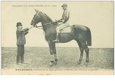 Hippisme. 37642.galoubet.bai b d'occasion  France