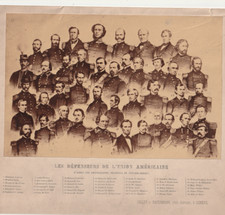 chiot american staff american d'occasion  Dijon