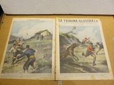 Lupa assale bambini usato  Salerno