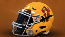 Montana grizzlies griz for sale  Merritt Island