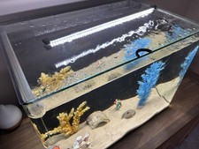 Aqua nano fish for sale  CATERHAM