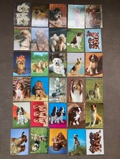 Tierpostkarten hunde stück gebraucht kaufen  Kürnach