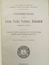 Three new species usato  Napoli