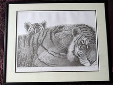 Gary hodges pride for sale  DERBY