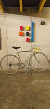 Colnago mexico oro usato  Cantu
