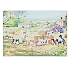 Border collie sheep for sale  DONCASTER