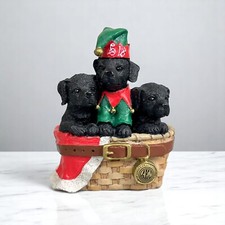 Black lab american for sale  Hermann