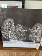Beautiful winter scene for sale  DROMORE