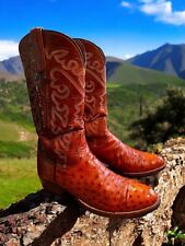 Lucchese Full Quill avestruz exótico feito à mão estilo 10-B 6329CN EXCELENTE!! comprar usado  Enviando para Brazil