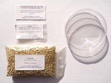 Lot germination nepa d'occasion  France